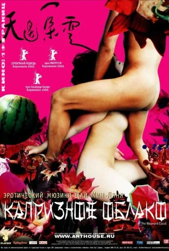 Капризное облако (2005) онлайн бесплатно